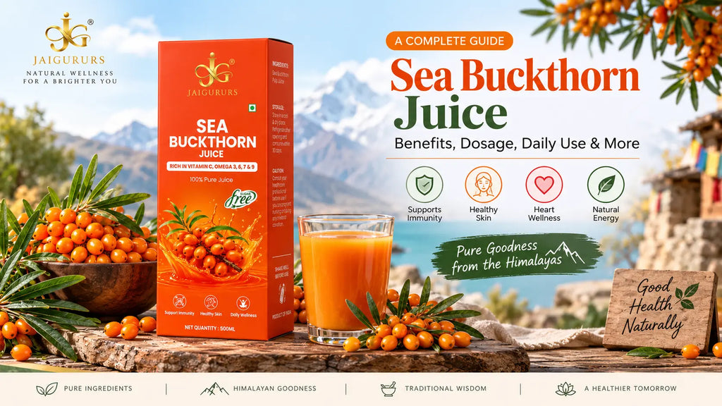 JaiGururs Sea Buckthorn Juice with fresh Himalayan sea buckthorn berries highlighting daily dosage, benefits and wellness use