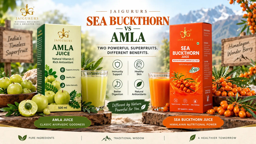 Sea Buckthorn Juice vs Amla Juice comparison showing their different nutrients, benefits and traditional wellness uses
