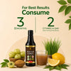 Jeevan Amrit Herbal Antioxidant Wellness Drink 500ml