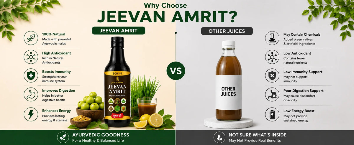 Jeevan Amrit Herbal Antioxidant Wellness Drink 500ml
