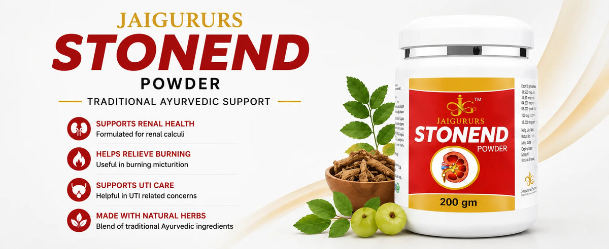 Stonend Powder | Ayurvedic Kidney Wellness Formula | 200 g