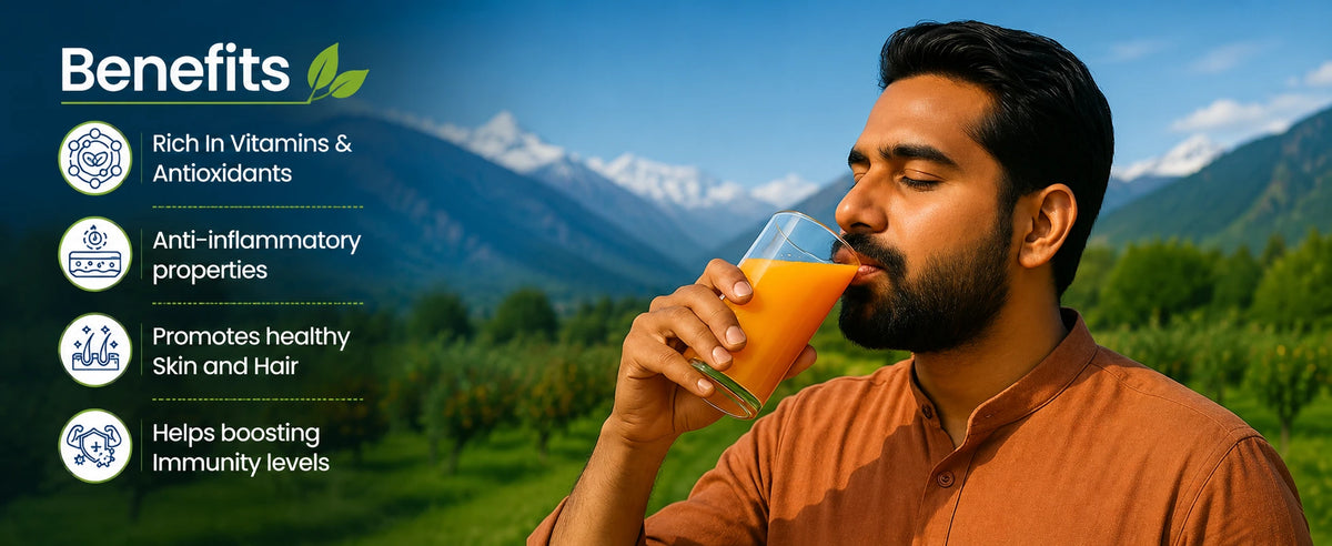 Sea Buckthorn Juice – Pure Pulp Juice | 500ml | JaiGururs