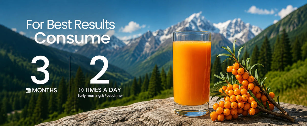 Sea Buckthorn Juice – Pure Pulp Juice | 500ml | JaiGururs