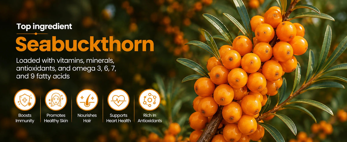 Sea Buckthorn Juice – Pure Pulp Juice | 500ml | JaiGururs