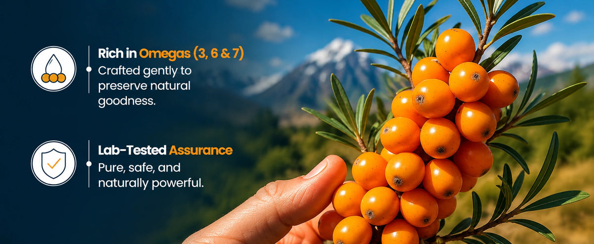 Sea Buckthorn Juice – Pure Pulp Juice | 500ml | JaiGururs