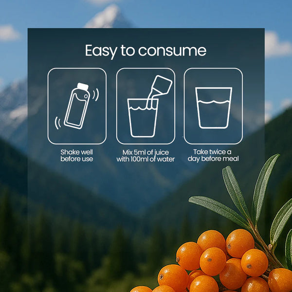 Sea Buckthorn Juice – Pure Pulp Juice | 500ml | JaiGururs