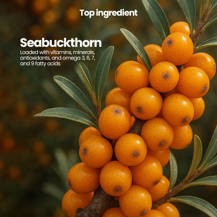 Sea Buckthorn Juice – Pure Pulp Juice | 500ml | JaiGururs