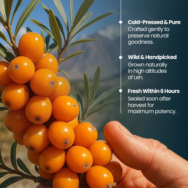 Sea Buckthorn Juice – Pure Pulp Juice | 500ml | JaiGururs